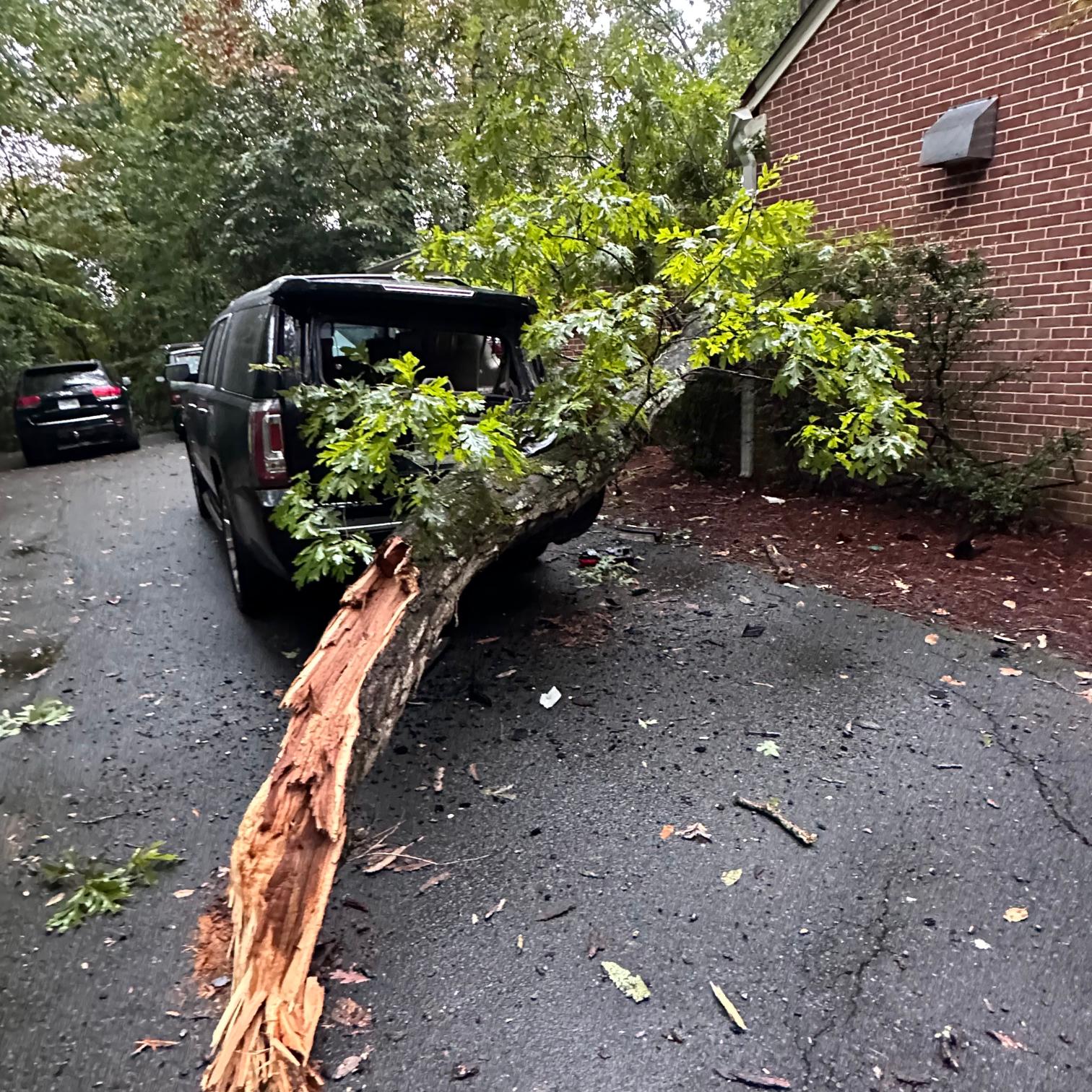 Huerta's Tree Service And Landscaping LLC Image